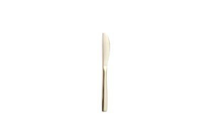 CHAMPAGNE DESSERT KNIFE BCN SATIN CHAMPAGNE