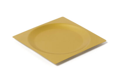 1 RATION CIRCLE PLATE ICE GOLD LAB 18/10 ACCESSORIES
