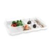 FIBRA SNACK TRAY 6 CELLS (CA=250) - Image 2