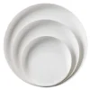 BAGASSE SANTO 120 (CA=120) - Image 2