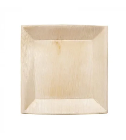 BIODINE TRAY B (CA=100) - Image 3