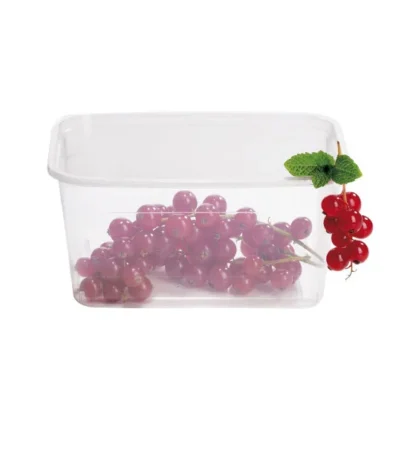 CONTAINER + LID 55CL (CA=500) - Image 3