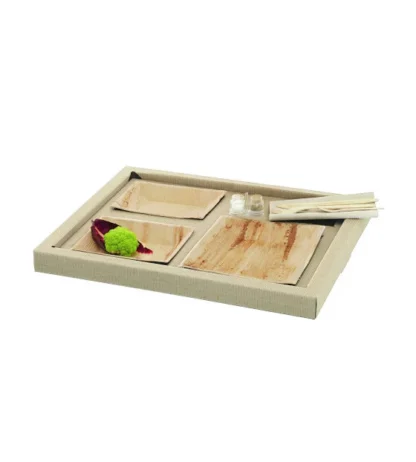BIODINE TRAY B (CA=100)