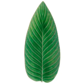 RIVIERA Strelizia leaf 40, Tomate