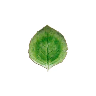 RIVIERA Hydrangea leaf 22, Tomate