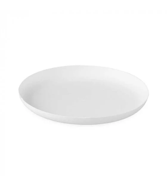 BAGASSE SANTO 160 (CA=120)